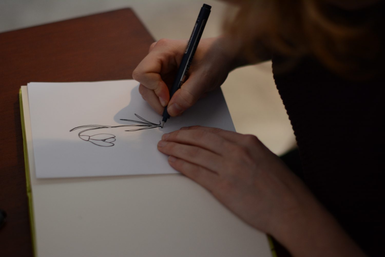 eveline de jonge illustraties illustrator illustreren tekenen tekening goes kloetinge groos op zeeland interview fineliner kroontjespen vulpen